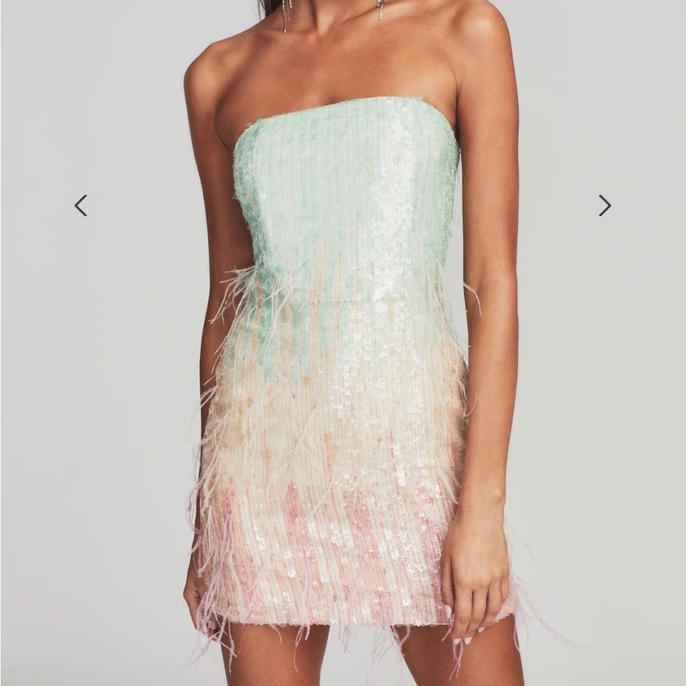 NWT Retrofete Anastasia dress XS